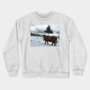 Scottish Highland Cattle Cow 2158 Crewneck Sweatshirt